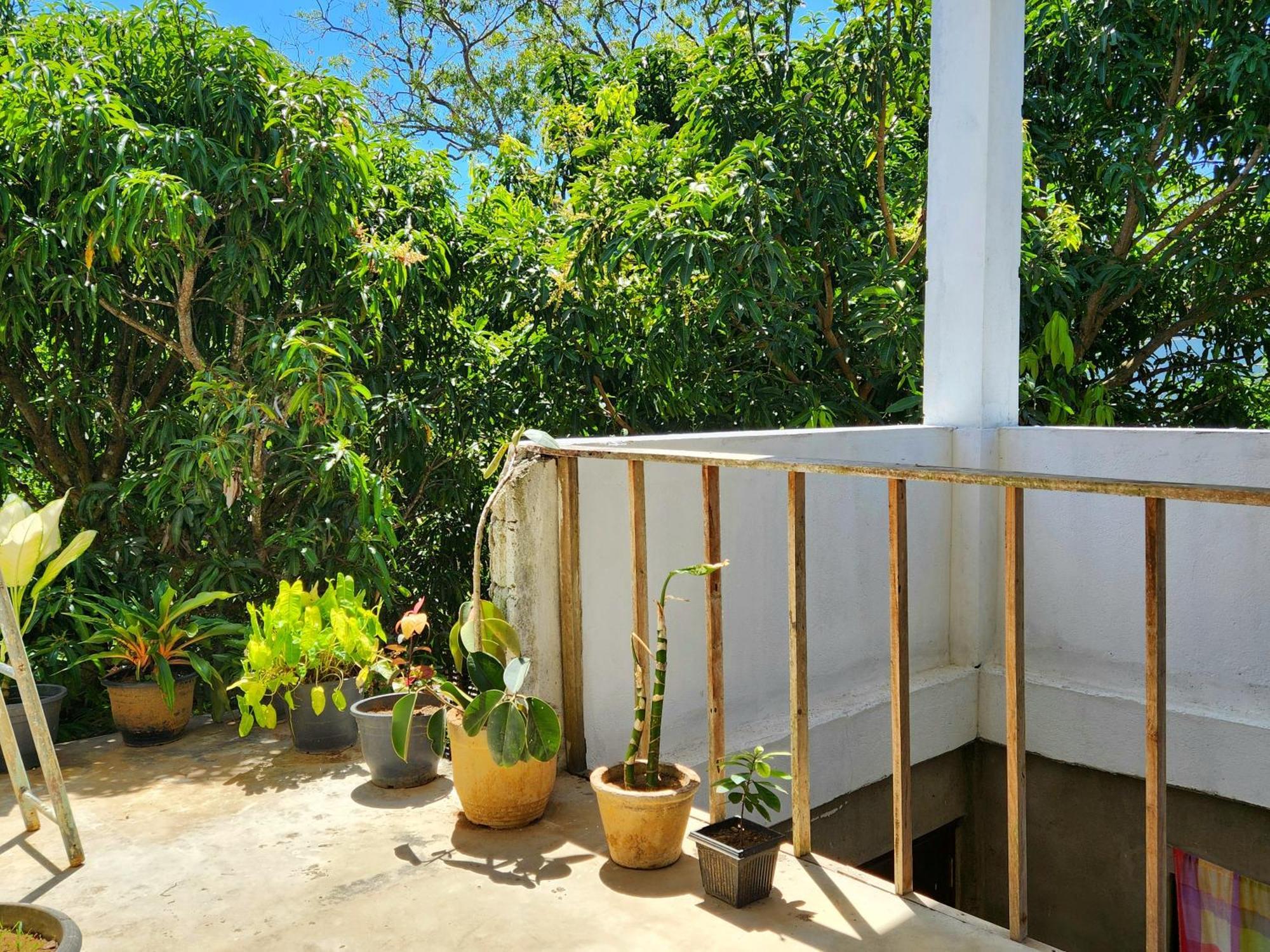 Sun Sea Guest Home Tangalle Exterior photo